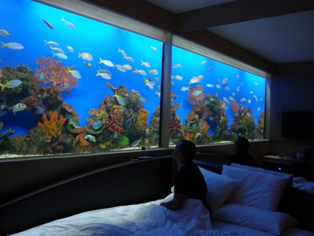 Aquarium